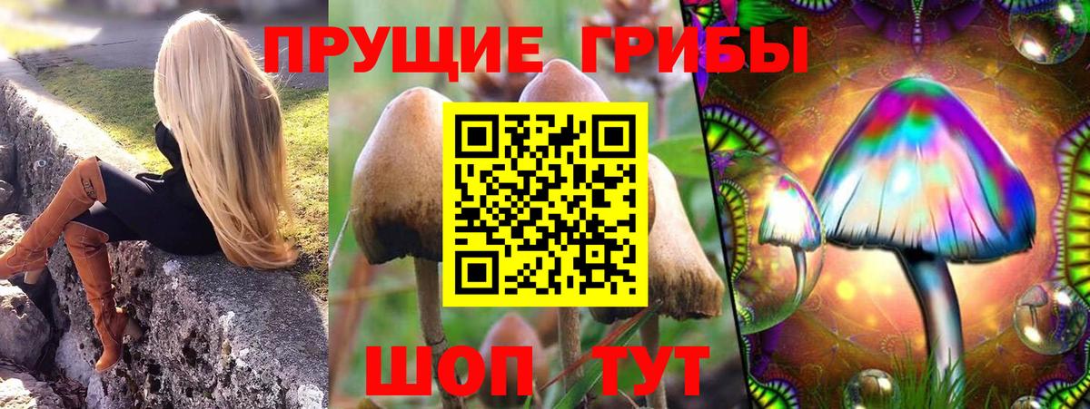 Галлюциногенные грибы Cubensis Первоуральск